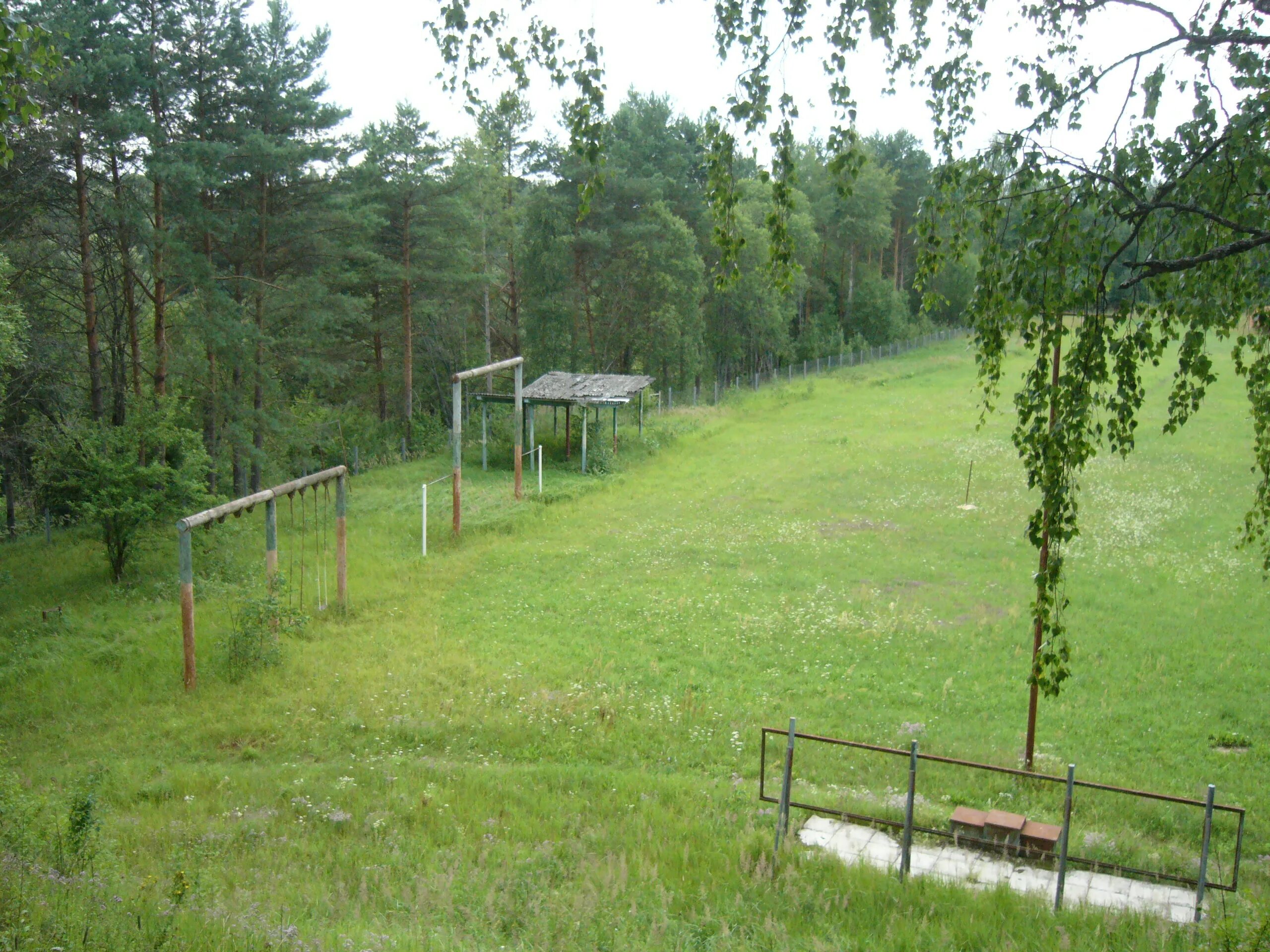 Тонких п л
