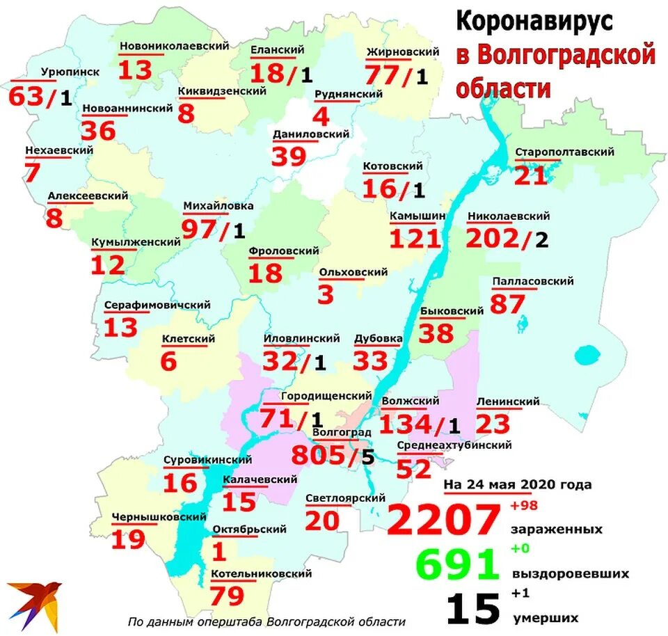 заболеваемость воронеж 2023