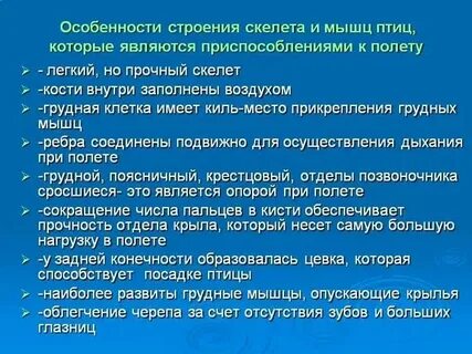 Имя связанное с полетом