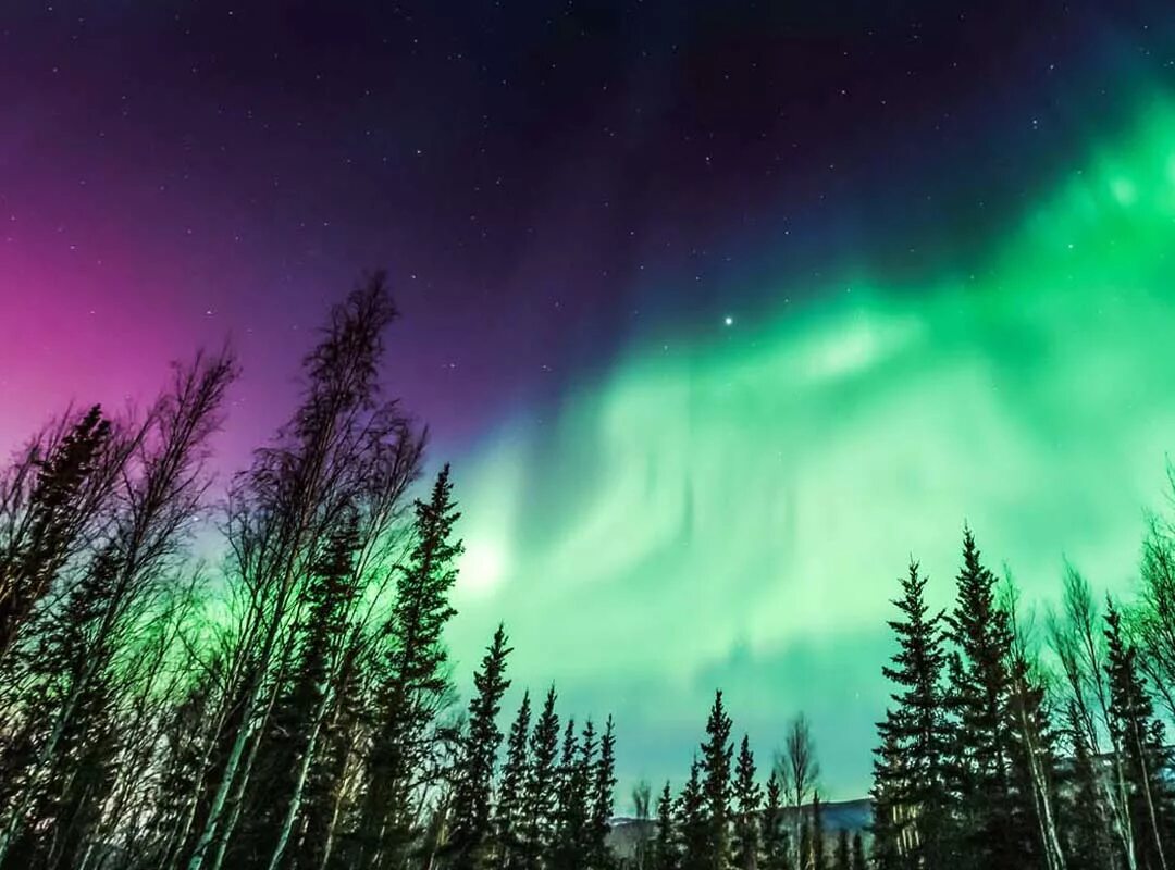 Северное сияние было видно. Йеллоунайф Северное сияние. Северное сияние в Йеллоунайф Канада. Yellowknife Северное сияние. Полярное сияние в Канаде.