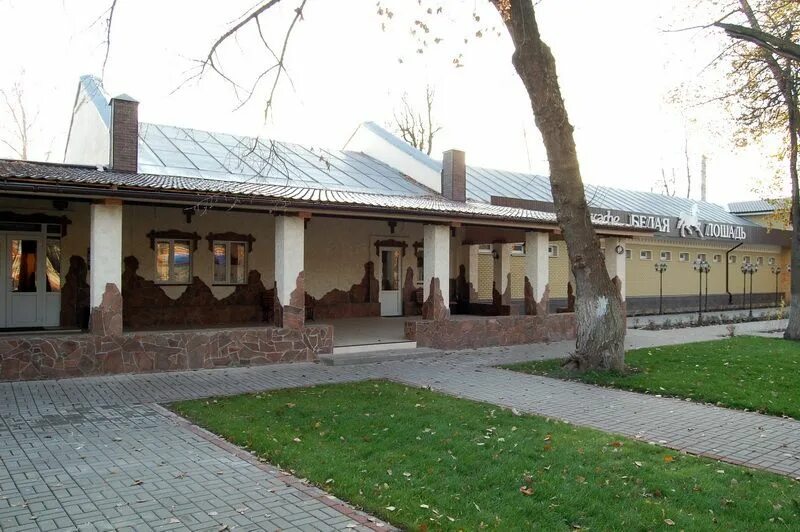 лошади брянск бежица. лошади брянск бежица. казачек коный клуб брянск. конкур перепрыжка. кофе белая лошадь брянск.