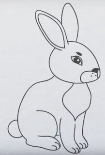 Заяц карандашом рисунок. 