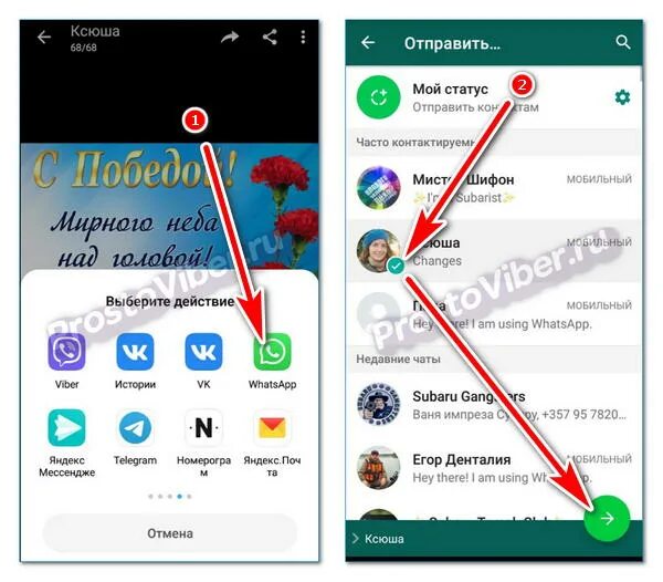 Как переслать сообщение из whatsapp. Как с вайбера переслать на ватсап фото. Как с вайбера переслать на ватсап. Как переслать фото с ватсапа на вайбер. Переслать с вайбера на вацап.