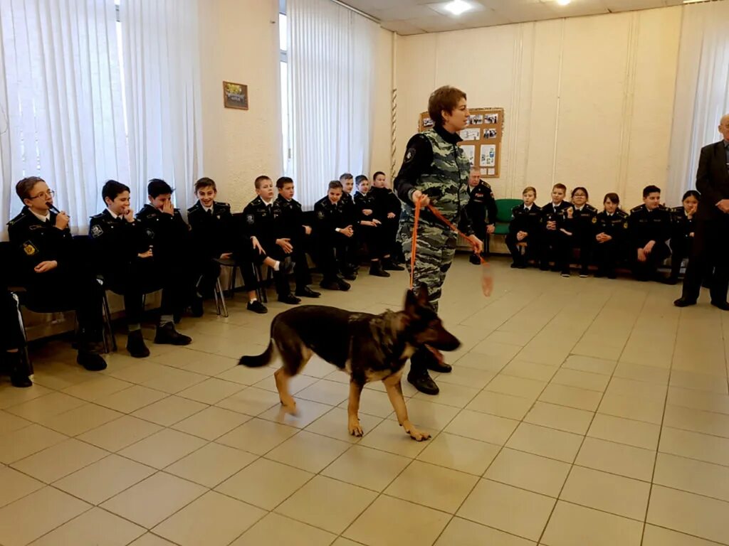 Кинологический колледж после 9 класса. Кинологический центр РГАЗУ. Кинологическая школа в Санкт-Петербурге.