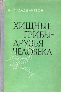 Странные книги