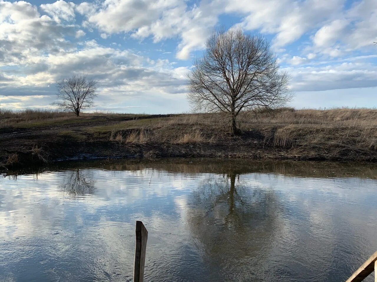 10 липецкая область. Село замартынье добровского района. село замартынье добровского района липецкой области. чистые пруды замартынье липецкая. пруды замартынье добровского района.
