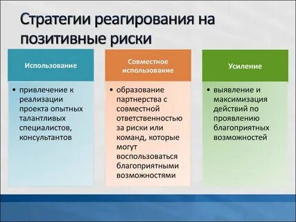 Стратегии реагирования на риск