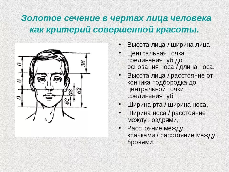 Лицо и его определение. Красивые пропорции лица. лицо по золотому сечению. золотое сечение пропорции лица. идеальные пропорции лица.