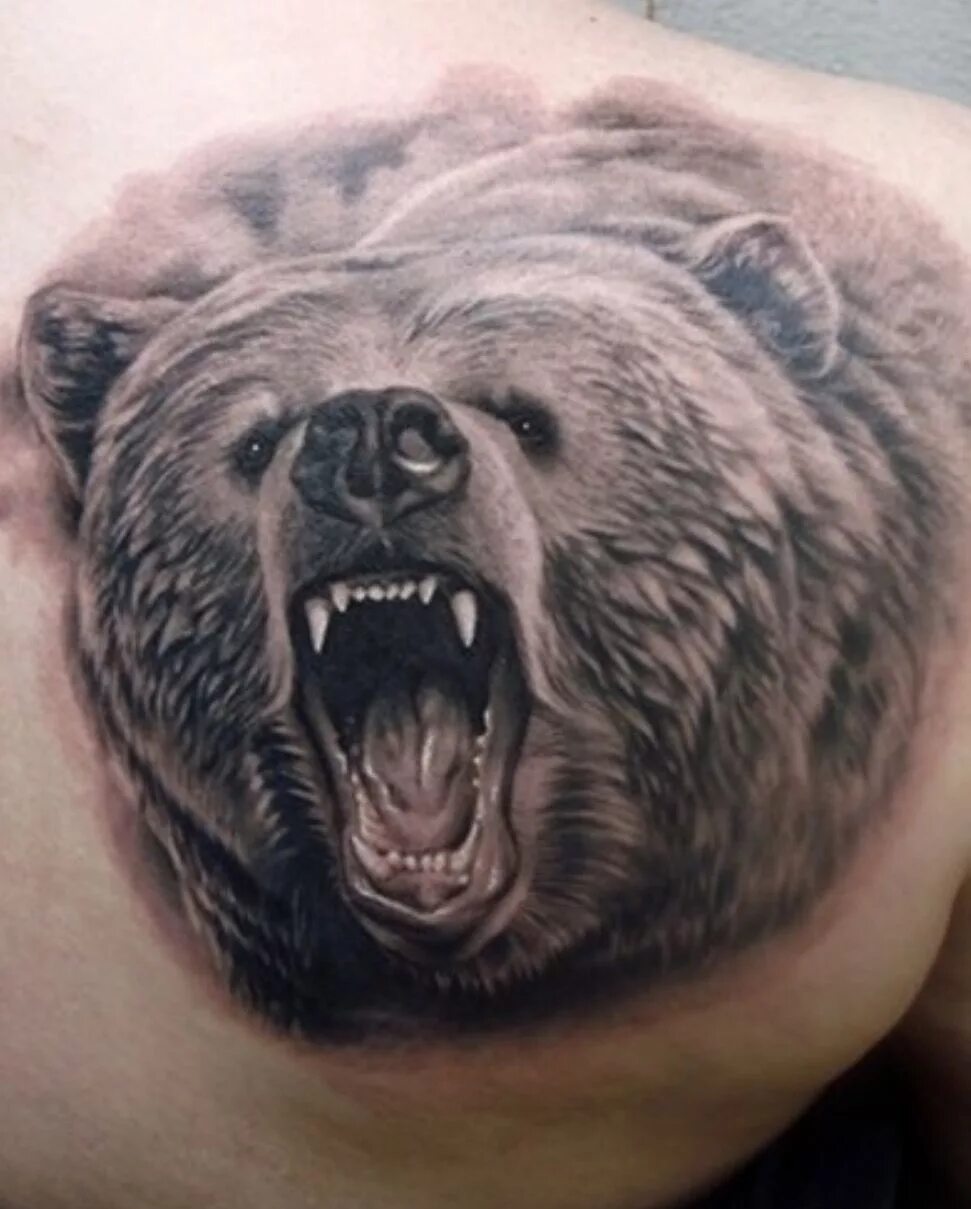 Тату медведь. Тату медведь. Съедобный медведь. Что значит медведь. Что значит медведь.