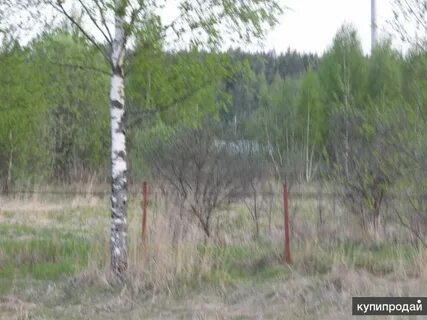 Снт культура
