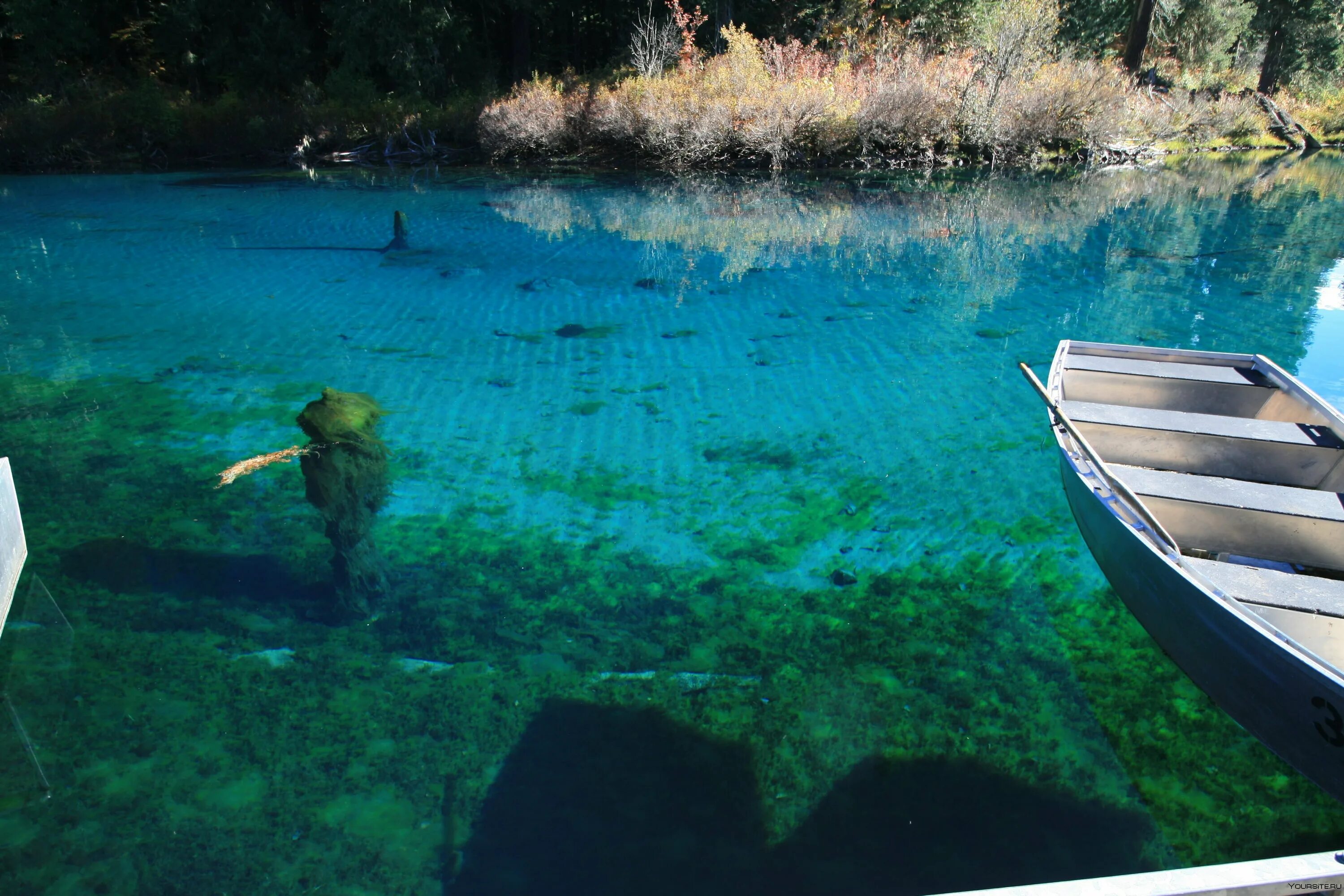 Озеро Флатхед, США. Флатхед озеро прозрачное. Самое прозрачное озеро в мире глубина 100 метров. Кристально чистое озеро в Малайзии. Видеть чистое озеро