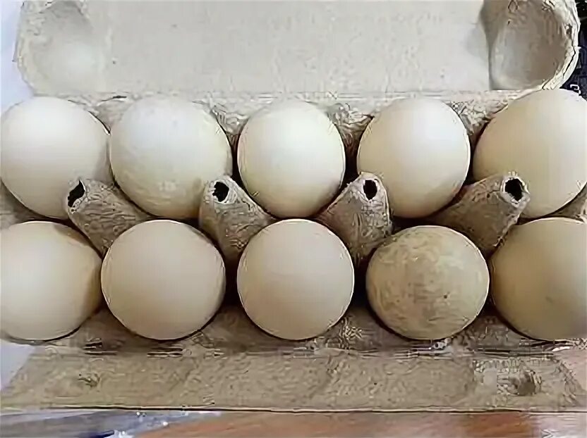 Купить яйца иркутск. Яйцо утиное инкубационное купить.