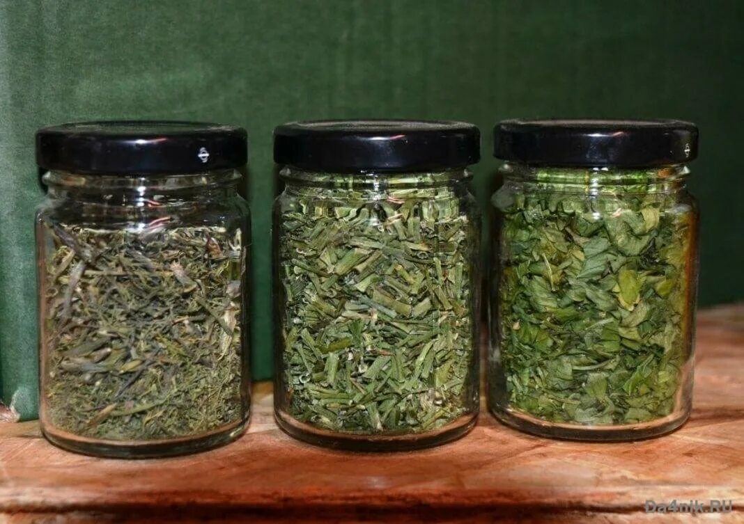 Зеленый чай в банке. Баночки для сушеных трав. Банки для хранения трав сушеных. Сухие травы для чая. Засушенные травы для чая.