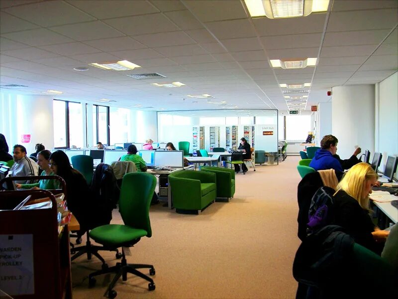 The working environment. Positive work environment. working environment. airplug work environment. hottie work environment что это.