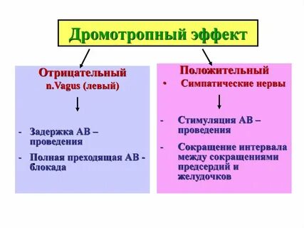 Хронотропное действие это