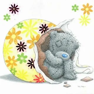 Teddy wonderful