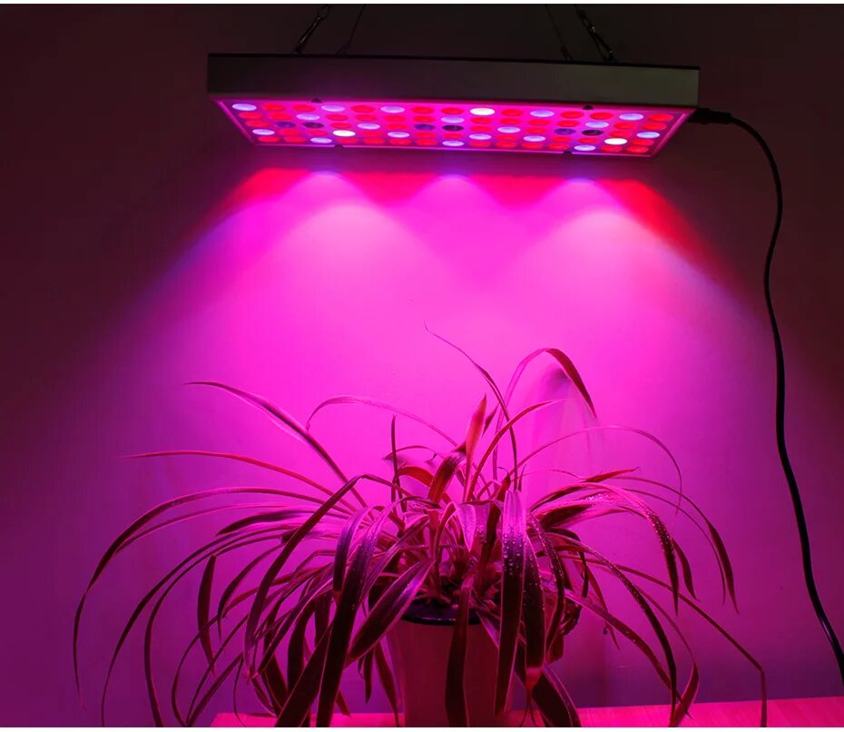 Фитолампа led grow Light. Фитолампа 300 led полный спектр led. Фитолампа светодиодная General 14w. Фитолампа grow Light 310w. Розовый свет фитолампа