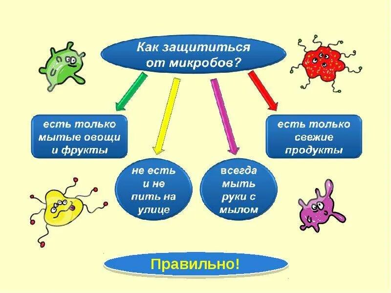 Как защитить продукты питания от бактерий. Как защититься от бактерий. Как защититься от вирусов и бактерий. Памятка о микробах. Проект на тему как защитить себя от микробов.