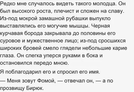Тургенев бирюк краткое содержание для читательского дневника