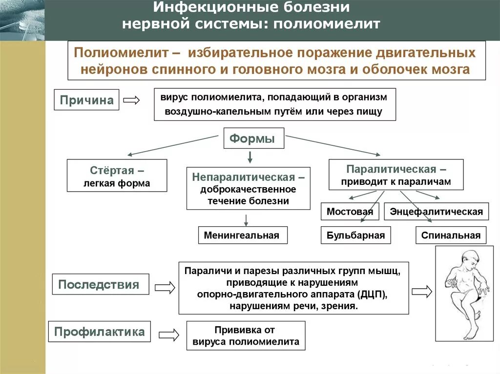 Инфекционные поражения мозга. Классификация заболеваний периферической нервной системы схема. Классификация инфекционных болезней ЦНС. Заюолнваниянервной системы. Классификация заболеваний ЦНС.