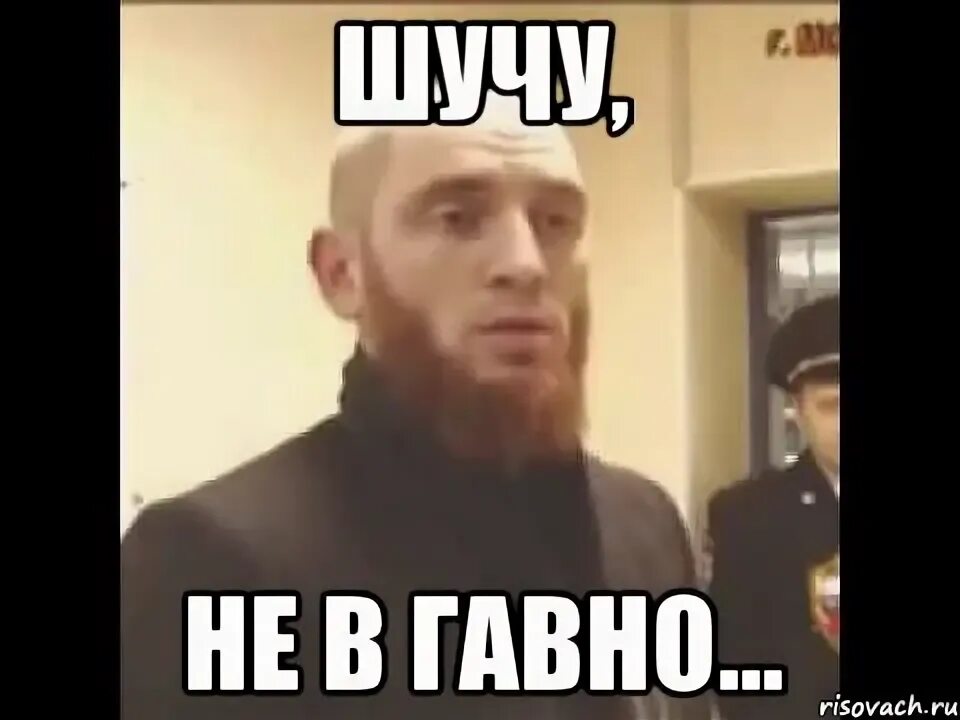 Думаете я с вами шутки шучу. Шутки шутить. Шутки шутить. Кот прикалывается. Просто шутки шучу.