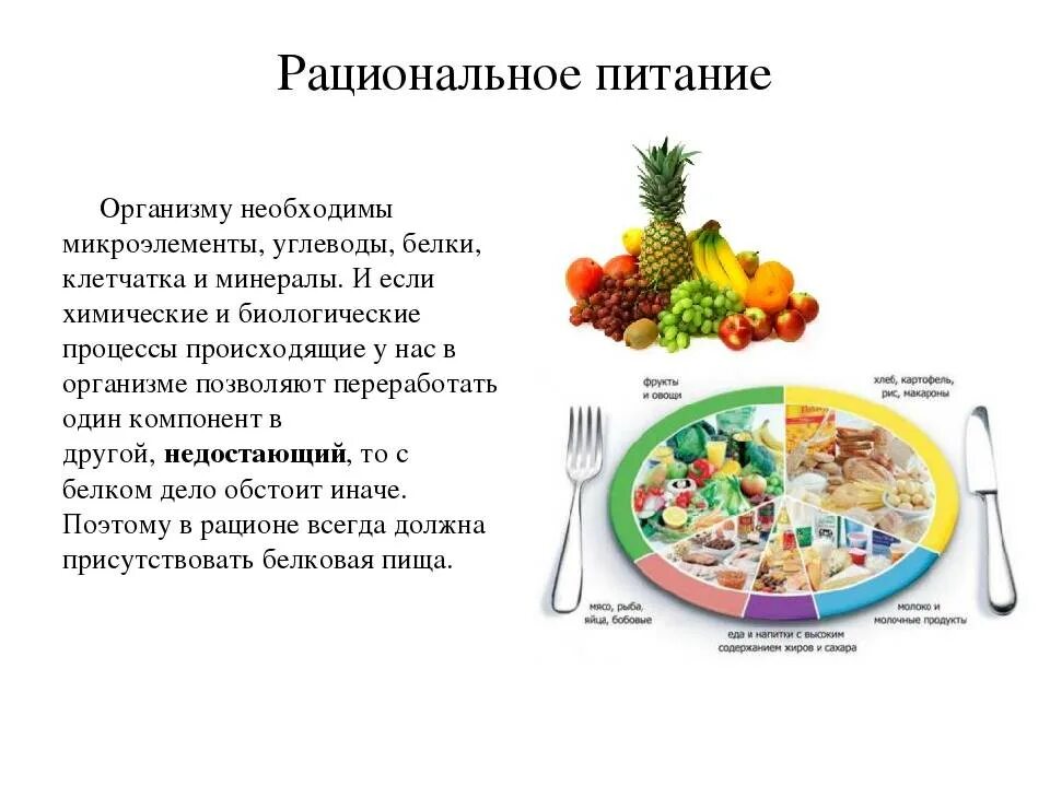 Значение белков в рационе