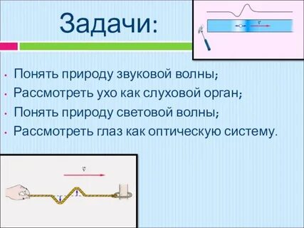 Звук волна физика