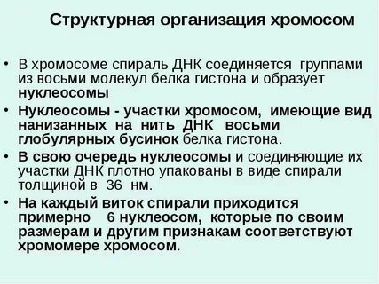 Уровни структурной организации хромосом