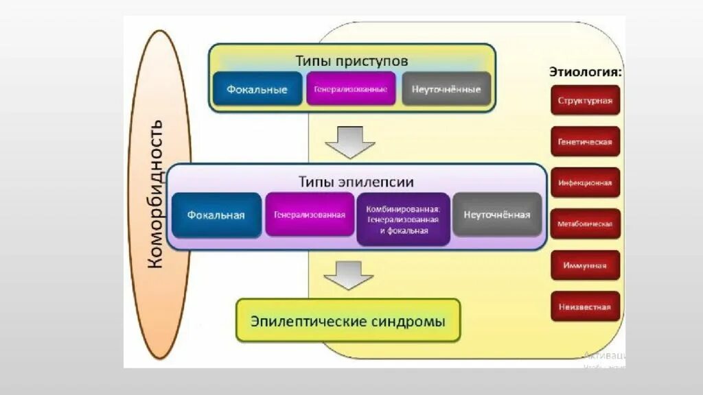 Классификация эпилепсии ILAE 2017. Эпилепсия новая классификация 2017. Классификация эпилептических приступов МПЭЛ 2017.. Современная классификация эпилептических припадков.