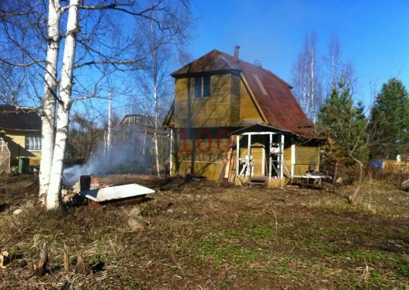Синявинское городское поселение массив восход. Снт синявино-2. снт лесное синявино. дача синявино. снт петроградское синявино массив восход.