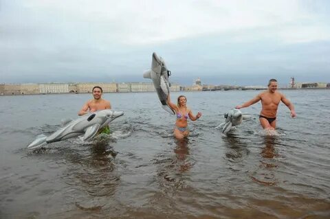Моржи спб