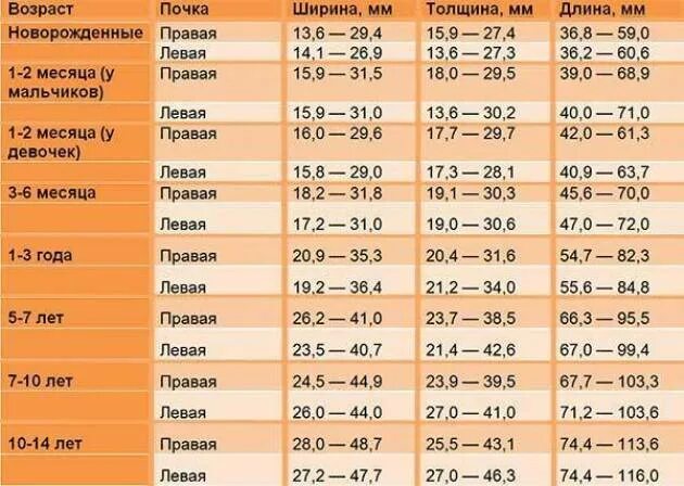 УЗИ почек показатели нормы таблица. Норма почек у детей 1 год. Норма размера почек у детей по УЗИ таблица. Норма почек у детей 5 лет.