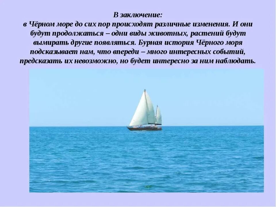Рассказ о черном море. Рассказ о красотетморя. Рассказ о красоте моря. Черное море доклад.