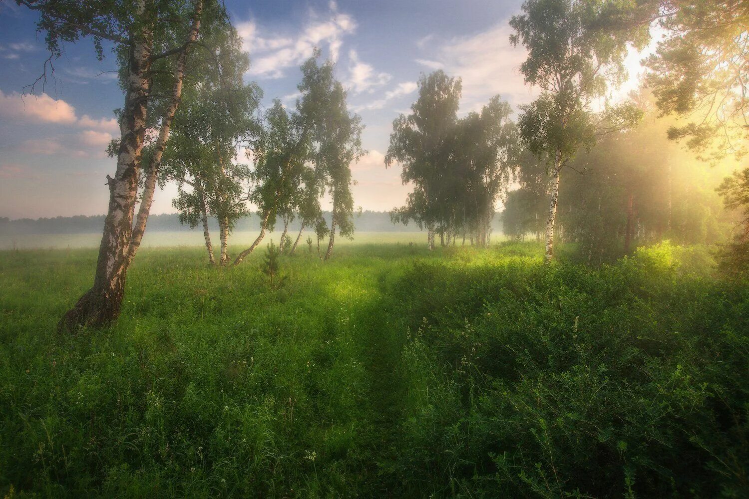 Будет лето на южном урале. Пейзажи в мареве. Марево летом. Летний пейзаж природа Уральский. Раннее утро картинки.