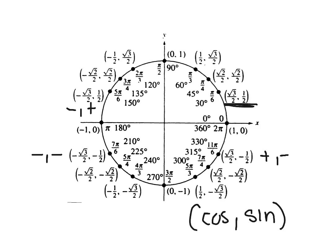 Точки тригонометрического круга. Тригонометрический круг -3pi. Единичная окружность тригонометрия 10. Единичная тригонометрическая окружность. Числовая окружность тригонометрия 10 класс синус косинус.