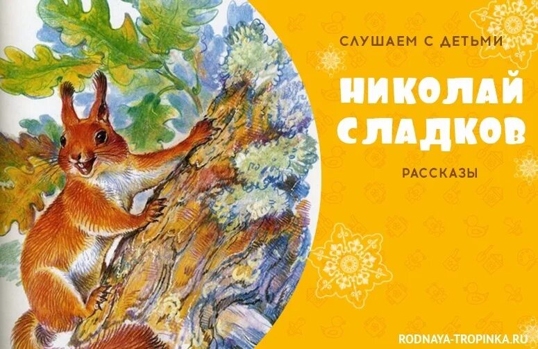 Сладков лесные рассказы