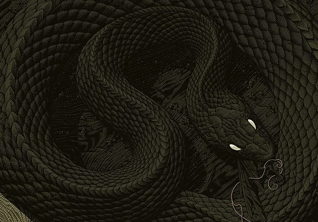 Темного змейка. Змея арт. Черные змеи арт. Черная змея арт. Огромная черная змея арт.