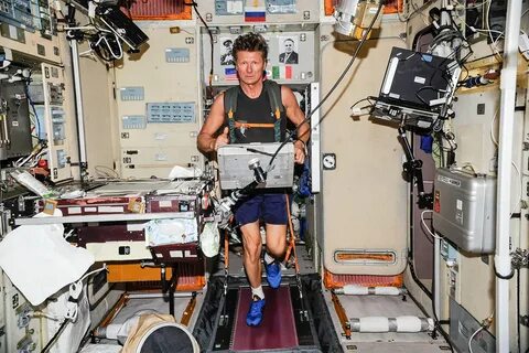 Doctors will grow human tissue on the International Space Station New.