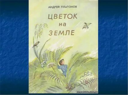 Отзыв произведения цветок на земле 3 класс