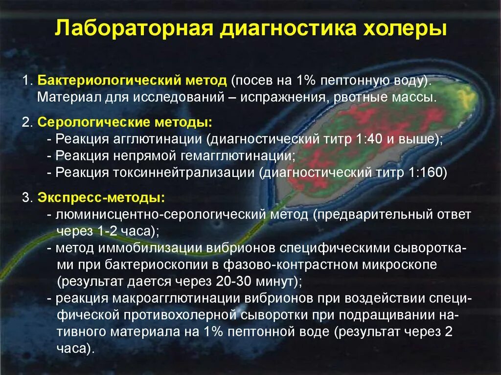 Презентация на тему холера. Профилактика холеры презентация. Холера эпидемиология презентация. Примеры холеры