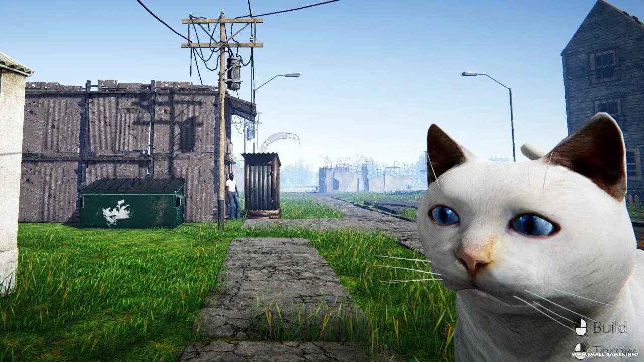 Симулятор кошки мод мод много. Streamer life simulator. симулятор кошки. симулятор стримера 2. стрим лайф симулятор.
