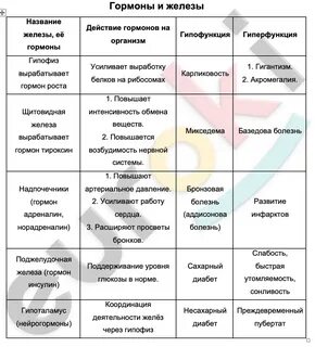Таблица нарушения работы эндокринной системы YouDrop.ru