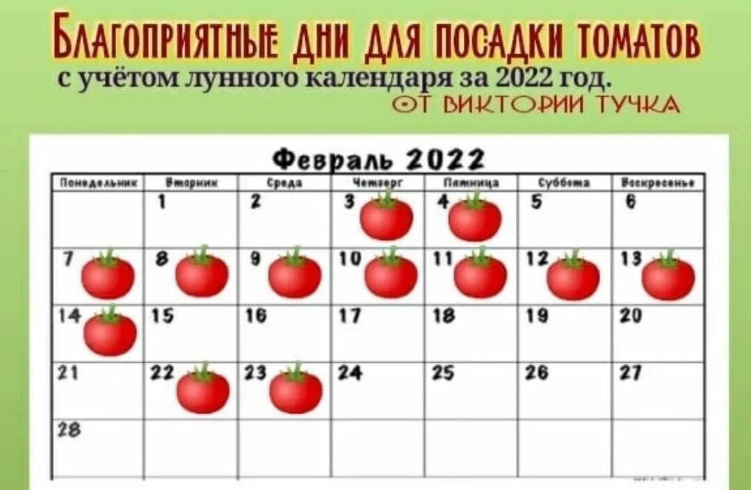Лунный календарь посадок на февраль 2024.