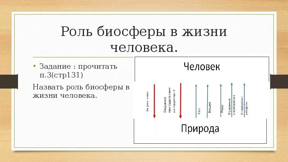 Презентация 6 класс человек как часть биосферы. Роль биосферы в жизни человека. Человек часть биосферы 6 класс география. Значение биосферы для человека. Роль биосферы в жизни человека 6 класс.