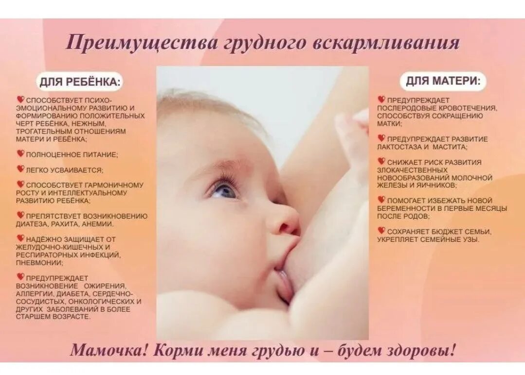 Египет breastfeeding. Грудное вскармливание. Грудное вскармливание фото. Смешанное вскармливание новорожденных детей. Помогаем друг другу.