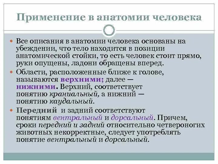 Основной метод анатомии. Пластическая анатомия методы исследования. применение анатомии в психологии. региональный принцип это в анатомии.