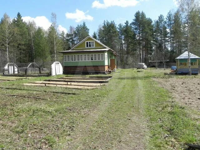 Сосновый Бор Кадуйский район. Деревня середник Кадуйский район. Кадуй Вологодская область. Посёлок Кадуй Вологодская область.