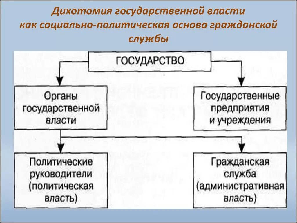 Состав государственных функций. Дихотомия государственной власти. Структура государственного аппарата. Государственный аппарат управления. Дихотомия государственного управления.