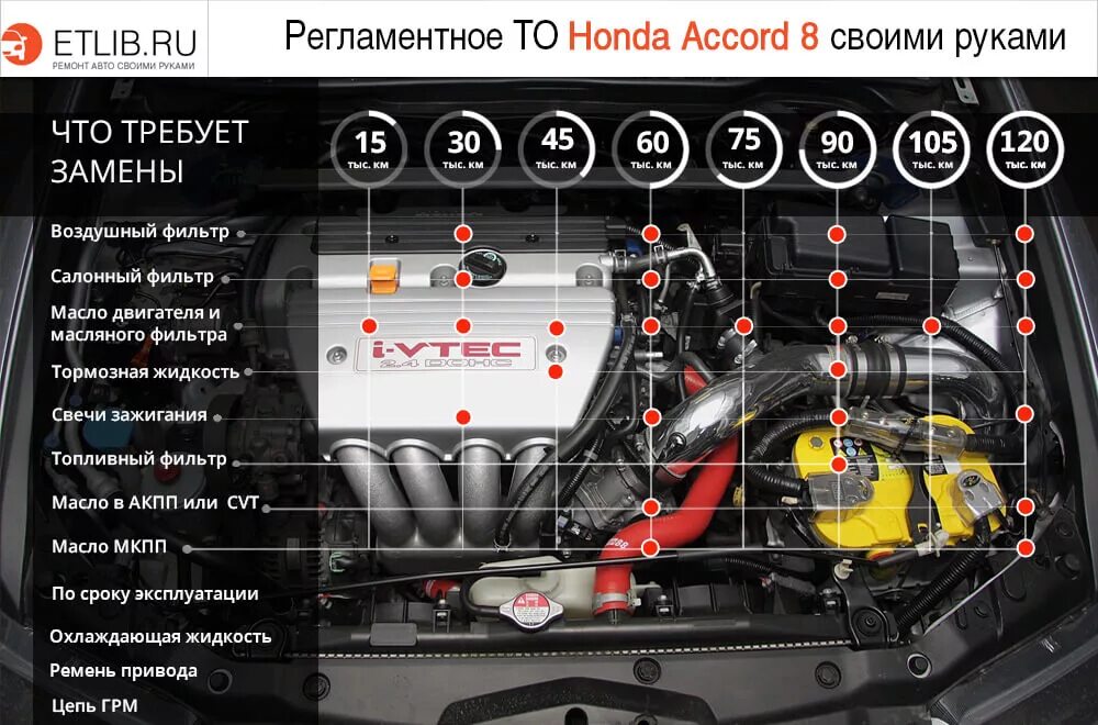 Регламент технического обслуживания Хонда Аккорд 8. Хонда Аккорд 8 регламент то. Honda Accord 7 регламент то. Регламент обслуживания Хонда Аккорд 8.