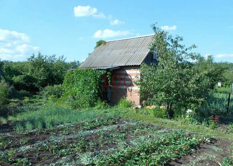 Дача бузулук. СНТ Вымпел Бузулук. Дачи в Бузулуке. Дачи в Бузулуке за Самаркой. Дачи Бузулук факел.